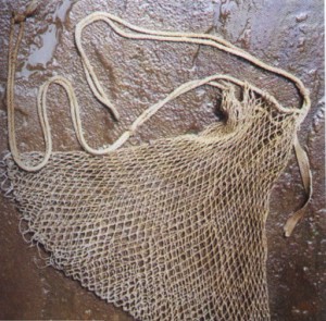 cast net